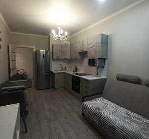 1-к квартира, на длительный срок, 42м2, 13/14 этаж