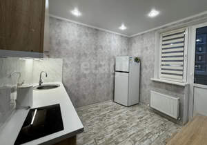 1-к квартира, на длительный срок, 42м2, 11/16 этаж