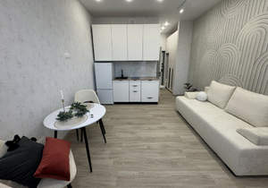 Студия квартира, на длительный срок, 25м2, 15/16 этаж