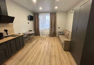 Студия квартира, на длительный срок, 24м2, 3/16 этаж