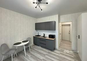 Студия квартира, на длительный срок, 22м2, 11/16 этаж