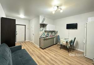 Студия квартира, на длительный срок, 23м2, 4/9 этаж