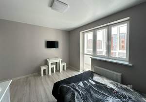 Студия квартира, на длительный срок, 27м2, 15/24 этаж