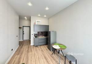 Студия квартира, на длительный срок, 22м2, 15/16 этаж