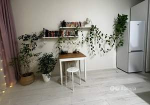 Студия квартира, на длительный срок, 20м2, 15/16 этаж