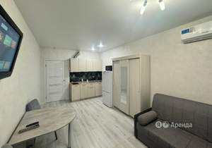 Студия квартира, на длительный срок, 24м2, 3/24 этаж