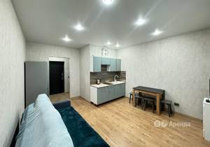 Студия квартира, на длительный срок, 23м2, 13/24 этаж