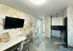 1-к квартира, на длительный срок, 27м2, 6/24 этаж