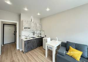 Студия квартира, на длительный срок, 20м2, 12/16 этаж