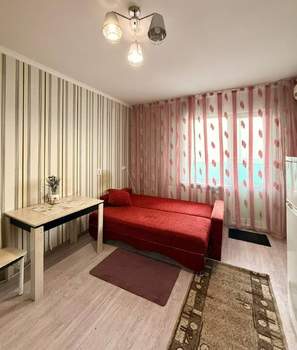 Студия квартира, на длительный срок, 24м2, 4/12 этаж