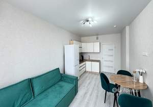 1-к квартира, на длительный срок, 38м2, 11/24 этаж