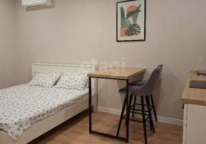 Студия квартира, на длительный срок, 24м2, 8/16 этаж