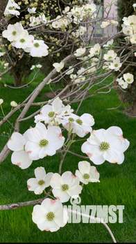 1-к квартира, посуточно, 40м2, 10/16 этаж