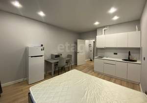 Студия квартира, на длительный срок, 23м2, 8/18 этаж