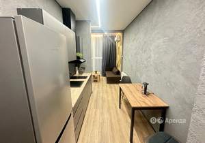 Студия квартира, на длительный срок, 24м2, 15/14 этаж