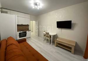 Студия квартира, на длительный срок, 26м2, 4/24 этаж