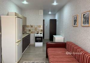 Студия квартира, на длительный срок, 24м2, 14/16 этаж