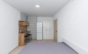 Студия квартира, на длительный срок, 21м2, 15/16 этаж