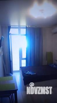 Студия квартира, на длительный срок, 26м2, 8/24 этаж