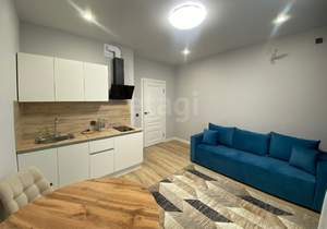 Студия квартира, на длительный срок, 20м2, 9/16 этаж