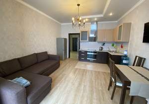 1-к квартира, на длительный срок, 60м2, 9/24 этаж