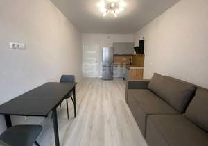 Студия квартира, на длительный срок, 28м2, 14/20 этаж