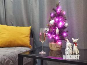 Студия квартира, посуточно, 30м2, 20/22 этаж