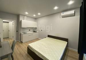 Студия квартира, на длительный срок, 23м2, 8/18 этаж