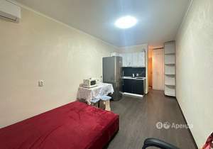 Студия квартира, на длительный срок, 24м2, 11/16 этаж