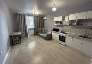 Студия квартира, на длительный срок, 30м2, 11/25 этаж