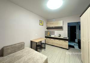 Студия квартира, на длительный срок, 20м2, 16/19 этаж