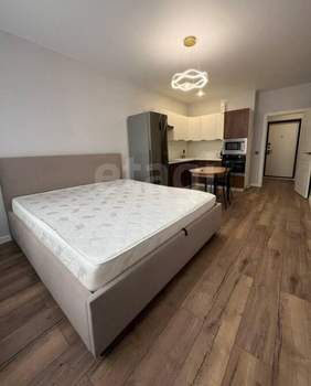 Студия квартира, на длительный срок, 26м2, 10/16 этаж