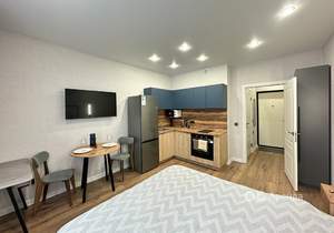 Студия квартира, на длительный срок, 23м2, 8/16 этаж