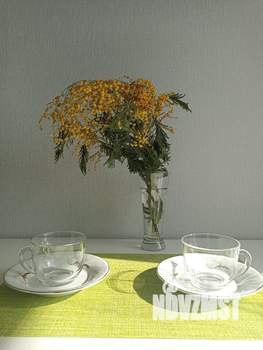 Студия квартира, на длительный срок, 19м2, 3/16 этаж