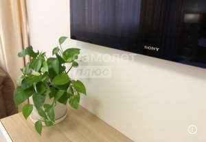 Студия квартира, на длительный срок, 25м2, 2/16 этаж