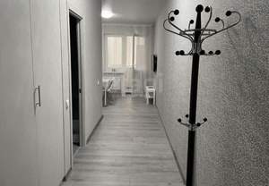 Студия квартира, на длительный срок, 23м2, 4/17 этаж