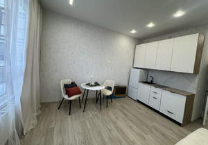 Студия квартира, на длительный срок, 25м2, 15/16 этаж