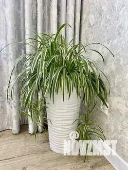 1-к квартира, посуточно, 51м2, 1/1 этаж