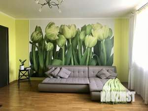 1-к квартира, посуточно, 50м2, 1/1 этаж
