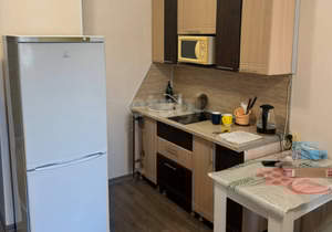 Студия квартира, на длительный срок, 25м2, 15/17 этаж