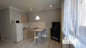 Студия квартира, на длительный срок, 25м2, 7/17 этаж