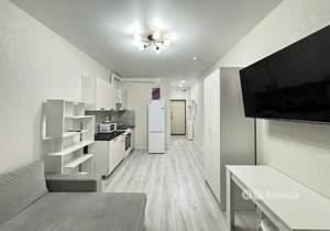 Студия квартира, на длительный срок, 29м2, 14/24 этаж