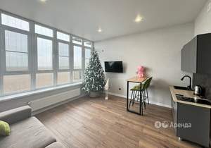 Студия квартира, на длительный срок, 27м2, 15/16 этаж