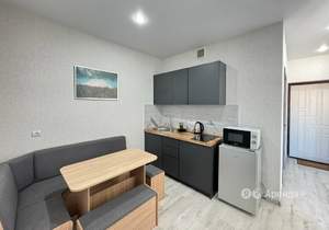 Студия квартира, на длительный срок, 27м2, 14/19 этаж