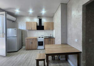 Студия квартира, на длительный срок, 22м2, 8/8 этаж