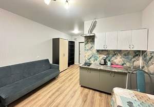 Студия квартира, на длительный срок, 23м2, 4/9 этаж