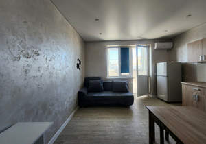Студия квартира, на длительный срок, 22м2, 8/8 этаж