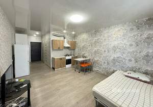 Студия квартира, на длительный срок, 30м2, 11/13 этаж