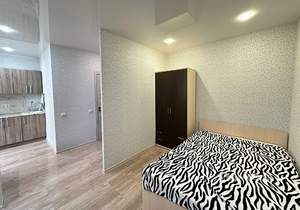 Студия квартира, на длительный срок, 25м2, 10/16 этаж