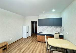 Студия квартира, на длительный срок, 24м2, 13/16 этаж